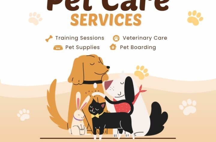 DeePet Services, pet care Delhi NCR, at-home pet care, affordable vet home visit, dog walking Delhi, cat grooming at home, pet grooming Delhi NCR, pet training Delhi, veterinary services at home, ₹499